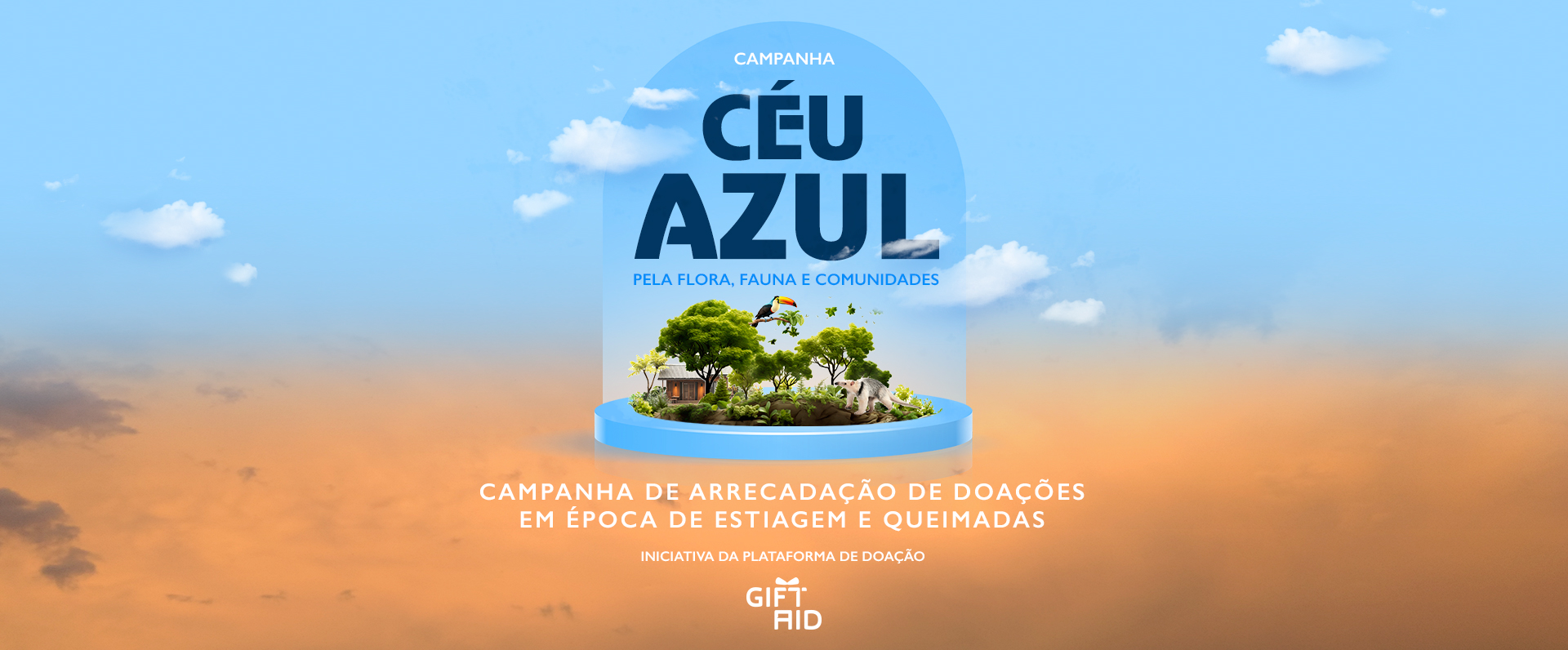 Campanha Céu Azul