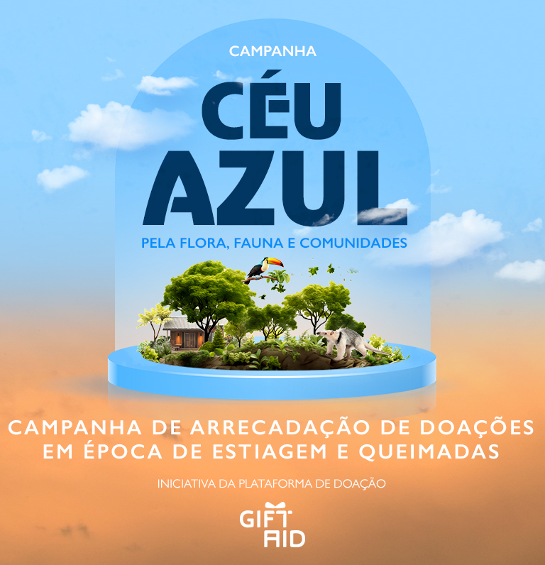 Campanha Céu Azul