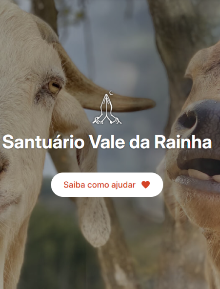 Imagem Campanhas Ativas